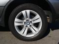 2005 BMW X5 4.4i Wheel and Tire Photo