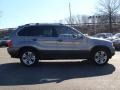 Sterling Grey Metallic - X5 4.4i Photo No. 8