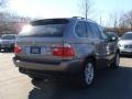 Sterling Grey Metallic - X5 4.4i Photo No. 9