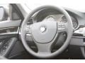 Black Steering Wheel Photo for 2011 BMW 5 Series #60678278