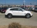 Platinum Ice Tricoat - SRX Performance Photo No. 6