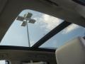 Platinum Ice Tricoat - SRX Performance Photo No. 11