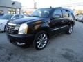 Black Raven - Escalade AWD Photo No. 2