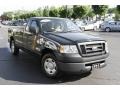 2006 Aspen Green Metallic Ford F150 XL Regular Cab  photo #3