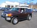 Black Cherry Pearl - FJ Cruiser 4WD Photo No. 5