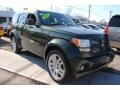 2010 Natural Green Pearl Dodge Nitro SXT 4x4  photo #3