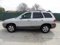 Smart Silver - Santa Fe GLS Photo No. 6
