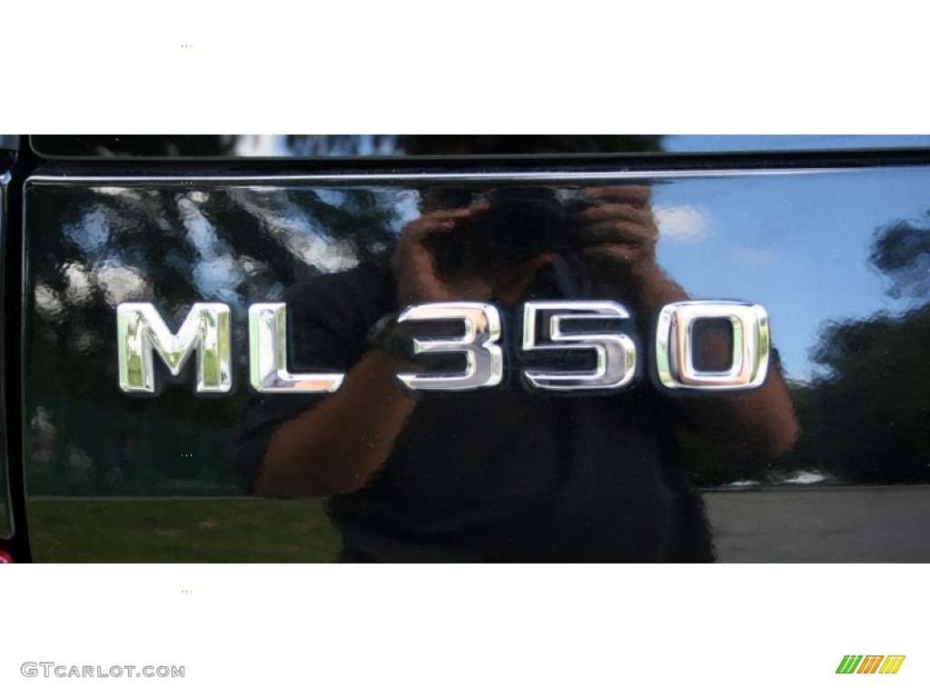 2005 ML 350 4Matic - Black / Ash photo #83