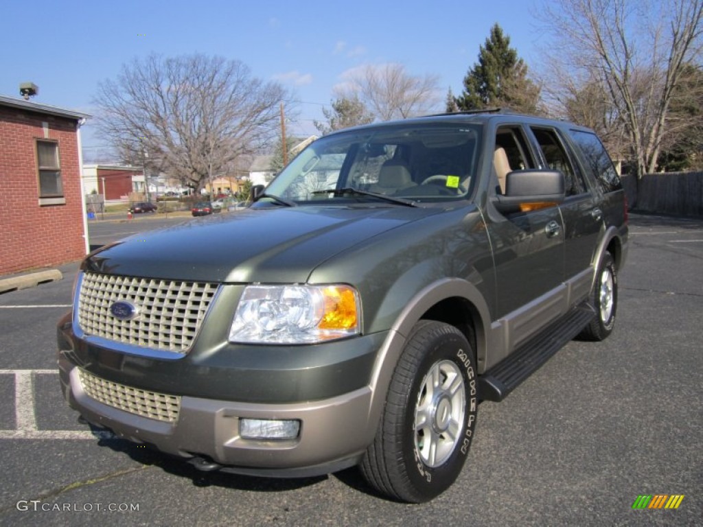 2003 Expedition Eddie Bauer 4x4 - Estate Green Metallic / Medium Parchment photo #2