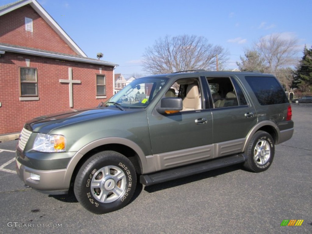 2003 Expedition Eddie Bauer 4x4 - Estate Green Metallic / Medium Parchment photo #3