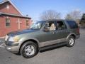 2003 Estate Green Metallic Ford Expedition Eddie Bauer 4x4  photo #3