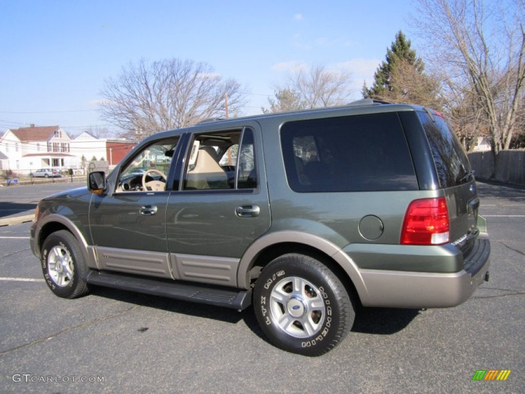 2003 Expedition Eddie Bauer 4x4 - Estate Green Metallic / Medium Parchment photo #5