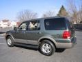 2003 Estate Green Metallic Ford Expedition Eddie Bauer 4x4  photo #5