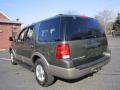 2003 Estate Green Metallic Ford Expedition Eddie Bauer 4x4  photo #6