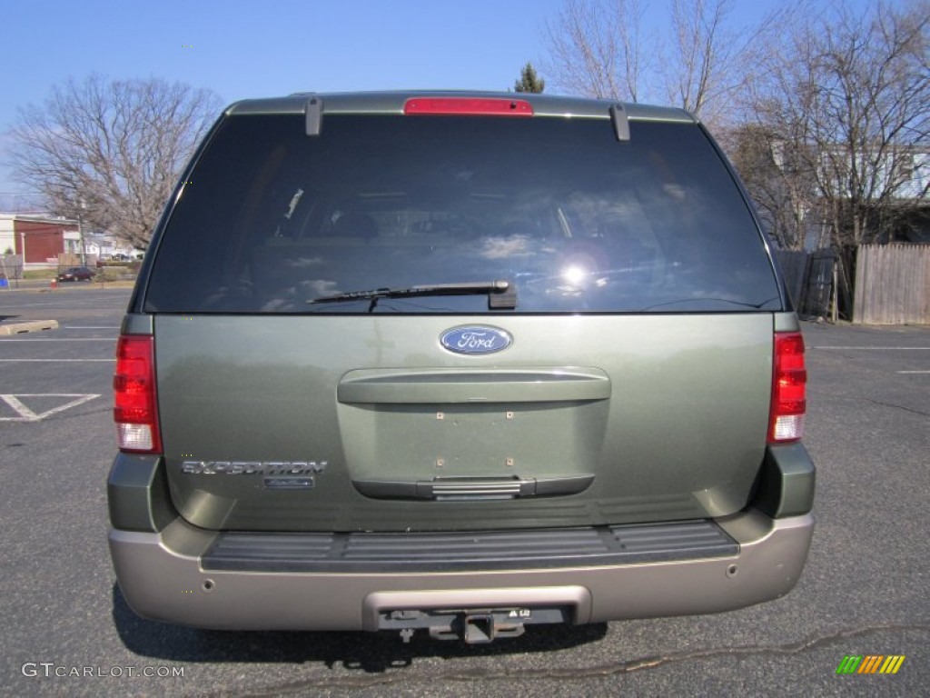 2003 Expedition Eddie Bauer 4x4 - Estate Green Metallic / Medium Parchment photo #7
