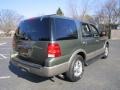 2003 Estate Green Metallic Ford Expedition Eddie Bauer 4x4  photo #8