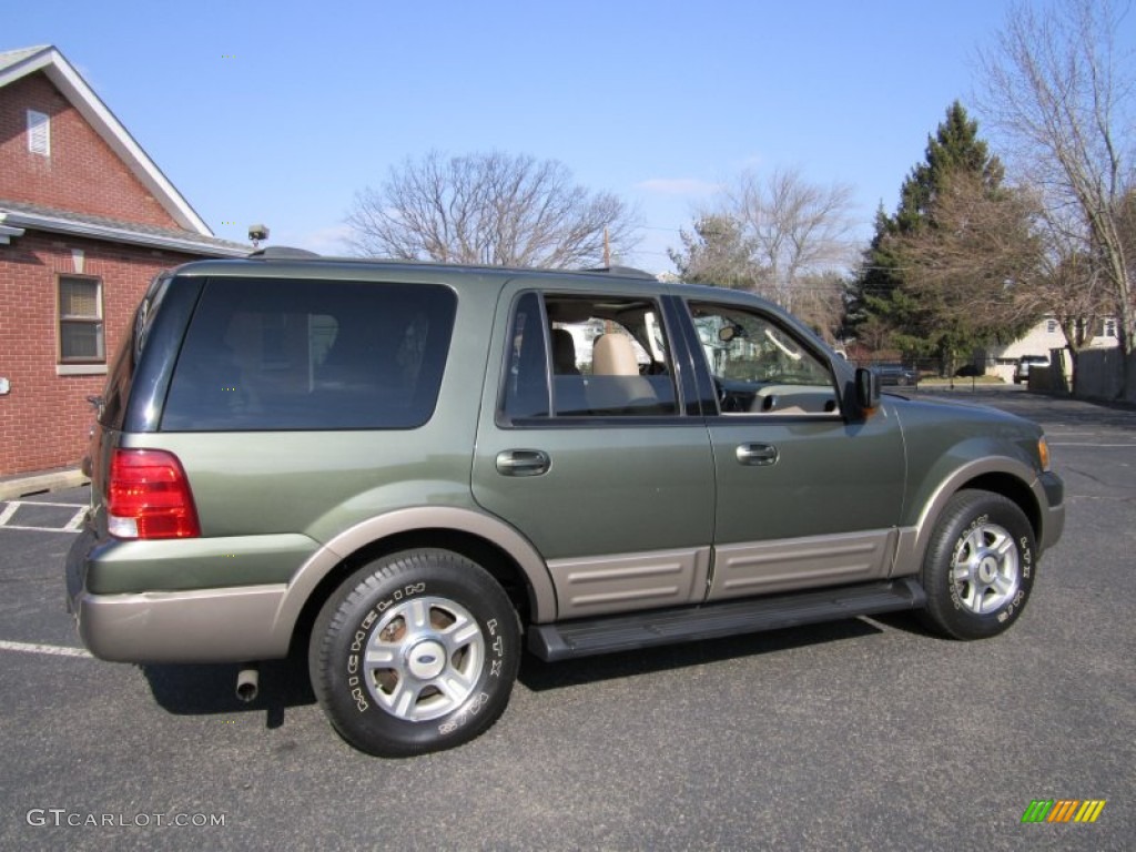 2003 Expedition Eddie Bauer 4x4 - Estate Green Metallic / Medium Parchment photo #9