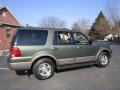 2003 Estate Green Metallic Ford Expedition Eddie Bauer 4x4  photo #9