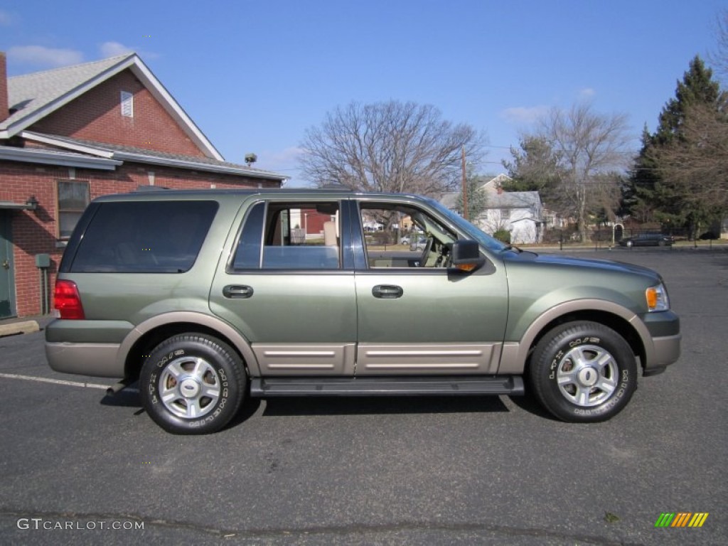 2003 Expedition Eddie Bauer 4x4 - Estate Green Metallic / Medium Parchment photo #10