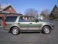 2003 Estate Green Metallic Ford Expedition Eddie Bauer 4x4  photo #10