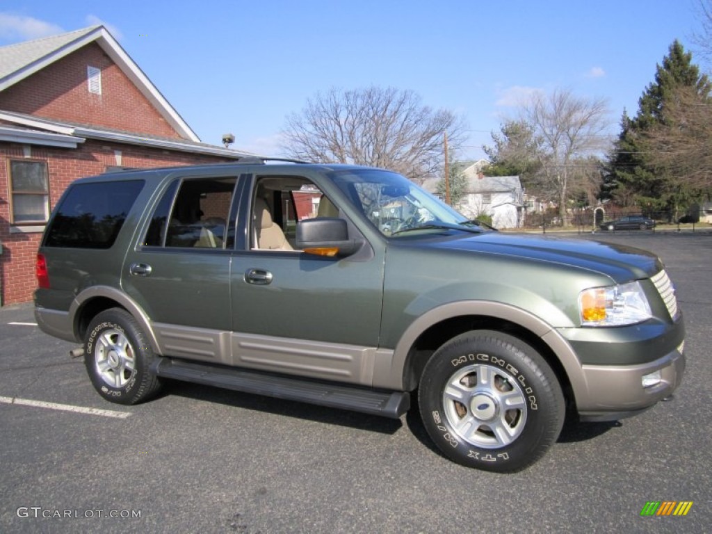 2003 Expedition Eddie Bauer 4x4 - Estate Green Metallic / Medium Parchment photo #11