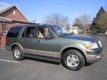2003 Estate Green Metallic Ford Expedition Eddie Bauer 4x4  photo #11