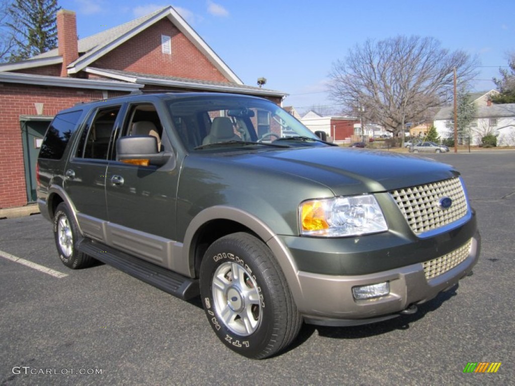 2003 Expedition Eddie Bauer 4x4 - Estate Green Metallic / Medium Parchment photo #12