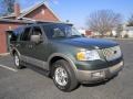 2003 Estate Green Metallic Ford Expedition Eddie Bauer 4x4  photo #12