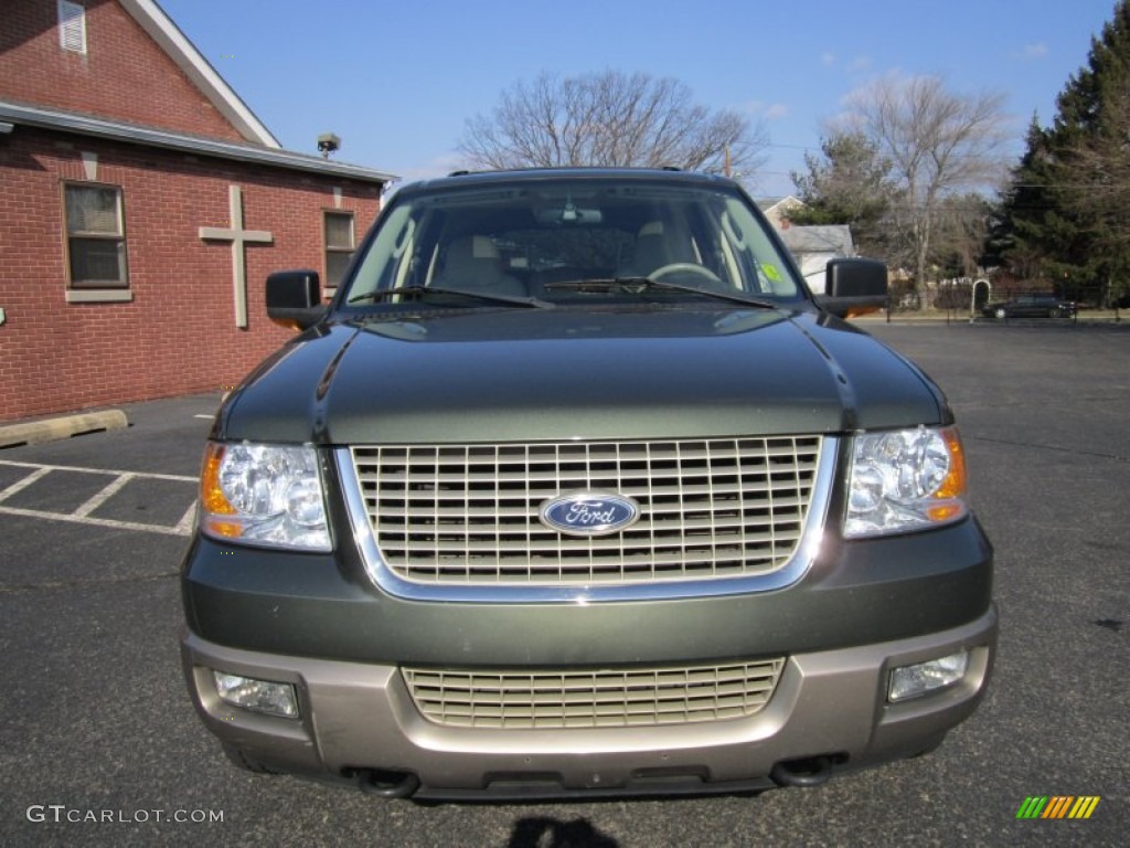 2003 Expedition Eddie Bauer 4x4 - Estate Green Metallic / Medium Parchment photo #13