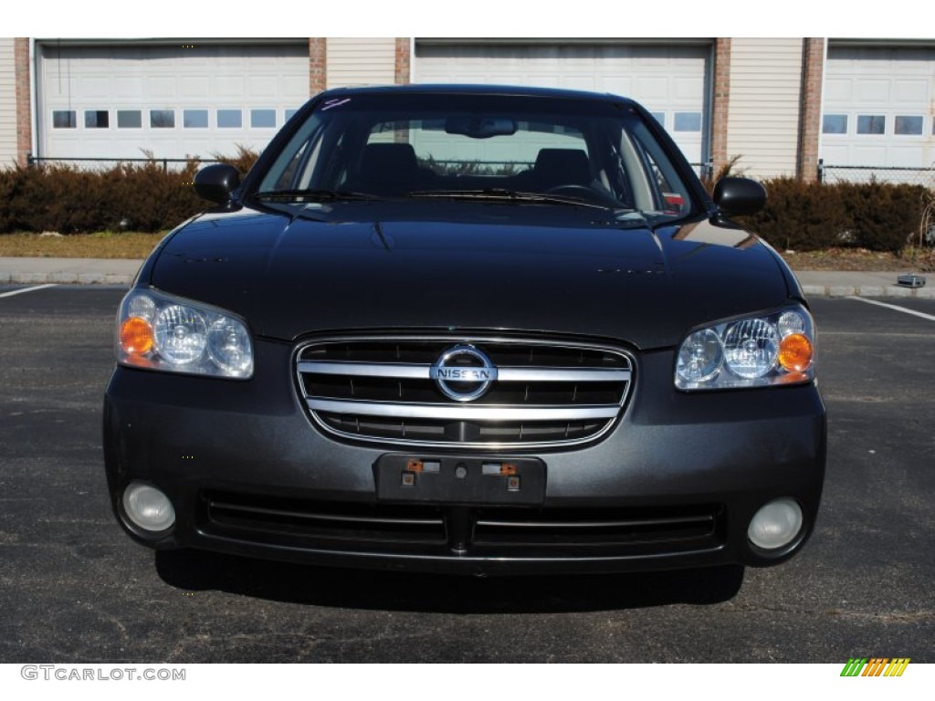 2003 Maxima SE - Gray Lustre / Black photo #2