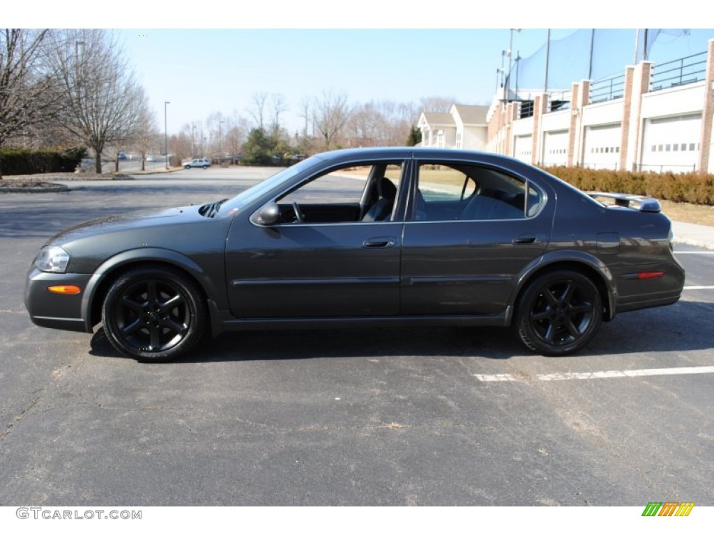 2003 Maxima SE - Gray Lustre / Black photo #3
