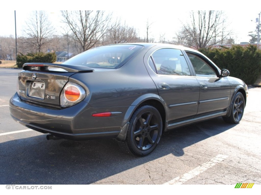 2003 Maxima SE - Gray Lustre / Black photo #6