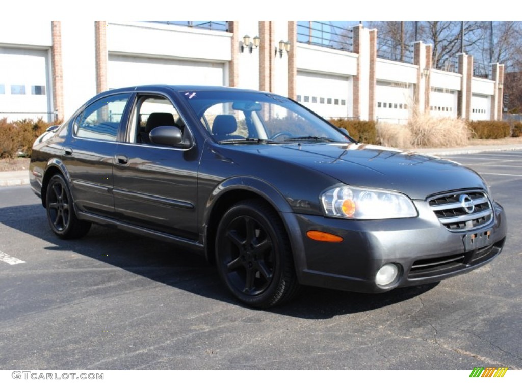 2003 Maxima SE - Gray Lustre / Black photo #7