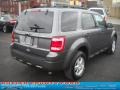 2010 Sterling Grey Metallic Ford Escape XLT 4WD  photo #2