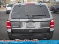 2010 Sterling Grey Metallic Ford Escape XLT 4WD  photo #3