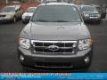 2010 Sterling Grey Metallic Ford Escape XLT 4WD  photo #7