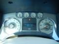Chapparal Leather Gauges Photo for 2010 Ford F150 #60710995