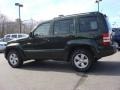 2010 Natural Green Pearl Jeep Liberty Sport  photo #3