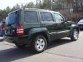 2010 Natural Green Pearl Jeep Liberty Sport  photo #5