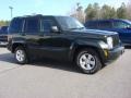 2010 Natural Green Pearl Jeep Liberty Sport  photo #6