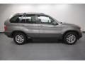 Sterling Grey Metallic - X5 3.0i Photo No. 7