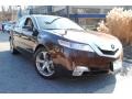 2009 Mayan Bronze Metallic Acura TL 3.7 SH-AWD  photo #1