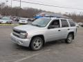 Moondust Metallic - TrailBlazer LS 4x4 Photo No. 5