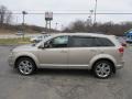 2009 Light Sandstone Metallic Dodge Journey SXT AWD  photo #7