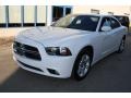 Bright White - Charger Rallye Photo No. 3