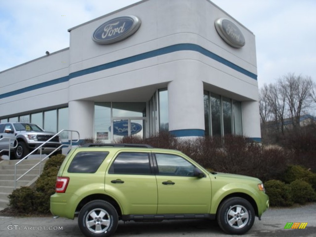 Lime Squeeze Metallic Ford Escape