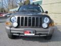 2005 Dark Khaki Pearl Jeep Liberty Renegade 4x4  photo #3