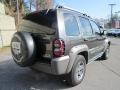 2005 Dark Khaki Pearl Jeep Liberty Renegade 4x4  photo #10