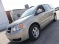 Light Sandstone Metallic - Grand Caravan SXT Photo No. 3