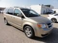 Light Sandstone Metallic - Grand Caravan SXT Photo No. 5